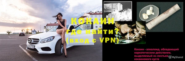 хмурый Осинники