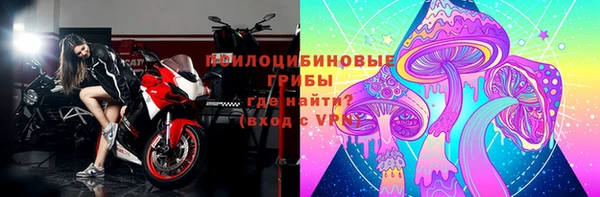 хмурый Осинники